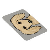 langharige crème dachshund | Cartoon Wiener Dog Magneet (Rechterzijde)