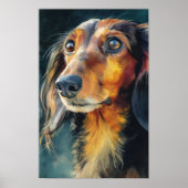 Langharige dachshund close-up poster (Voorkant)