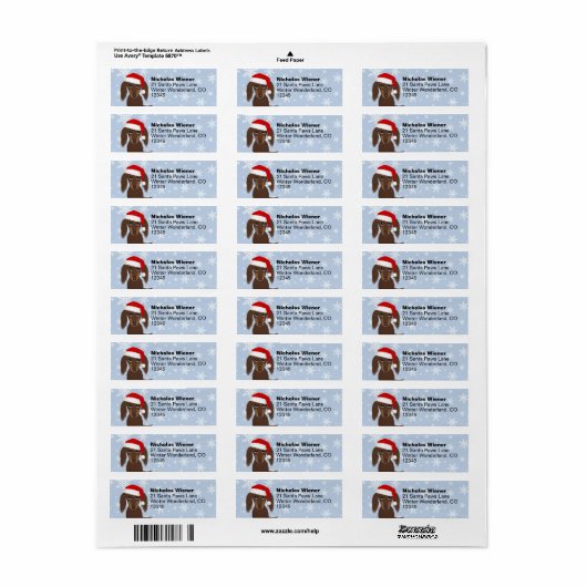 Langharige Dachshund Kerst Hond Retouradres Etiket (Full Sheet)