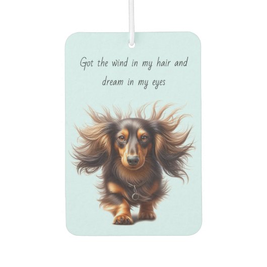 Langharige Dachshund Luchtverfrisser (Voorkant)