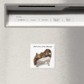 Langharige Dachshund Magneet (Insitu (Vaatwasser))