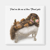 Langharige Dachshund Magneet (Voorkant)