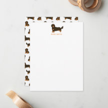 Langharige dachshund