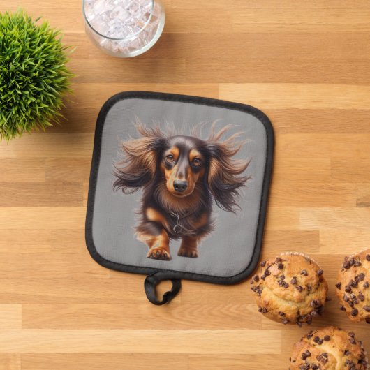 Langharige Dachshund Pannenlap (Top down)