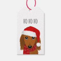 Langharige Dachshund Santa Schattige Hondenkerst