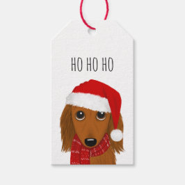 Langharige Dachshund Santa Schattige Hondenkerst Cadeaulabel