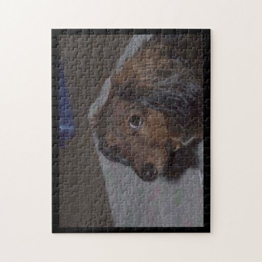 Langharige Doxer Legpuzzel (Verticaal)