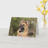 Langharige Duitse herder 1 Kaart (Gele Bloem)