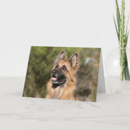 Langharige Duitse herder 1 Kaart (Voorkant)