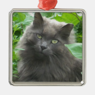 Langharige grijze Russische Blauwe Kat Metalen Ornament