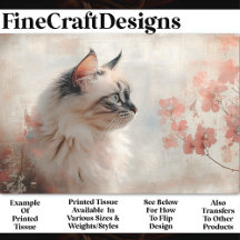 Langharige kat, Bleke koraalbloemen BP8A Decoupage