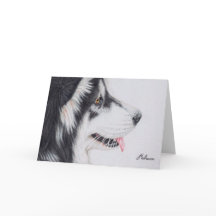 Langharige Malamute Van Alaska