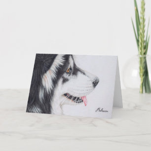 Langharige Malamute Van Alaska Kaart