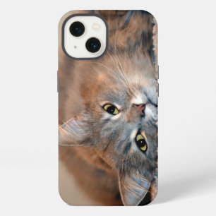 Langharige Russische Blauwe Kat van Shirley Taylor iPhone 13 Hoesje