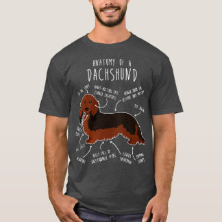 Langharige Sable Dachshund Hond Anatomie T-shirt