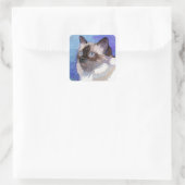 langharige Siamese Himalaya kat Vierkante Sticker (Tas)