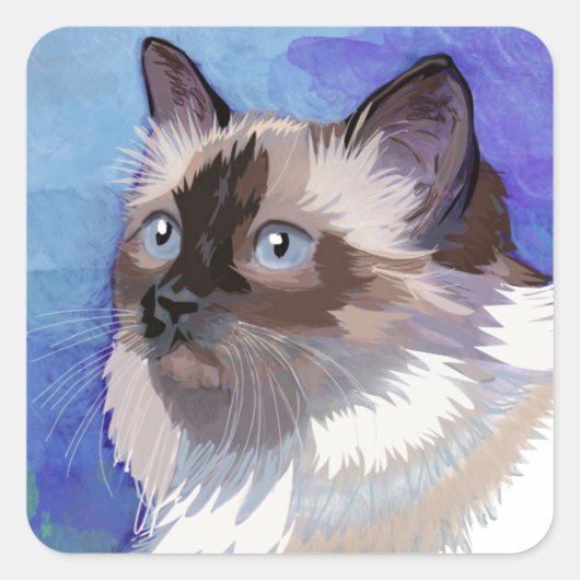 langharige Siamese Himalaya kat Vierkante Sticker (Voorkant)