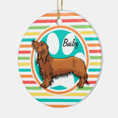 langharige teckel; heldere regenboogstrepen keramisch ornament (Links)