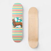 langharige teckel; heldere regenboogstrepen skateboard (Voorkant)
