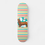 langharige teckel; heldere regenboogstrepen skateboard (Voorkant)