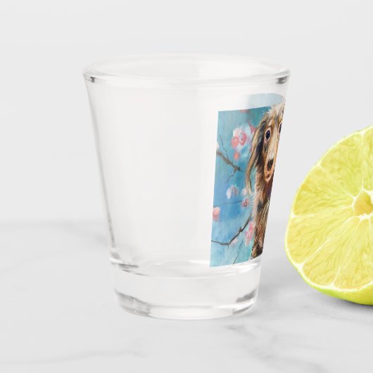 Langharige teckel in kersenbloesems shot glas (Links)