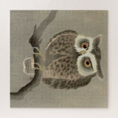 langharige uil legpuzzel (Horizontaal)