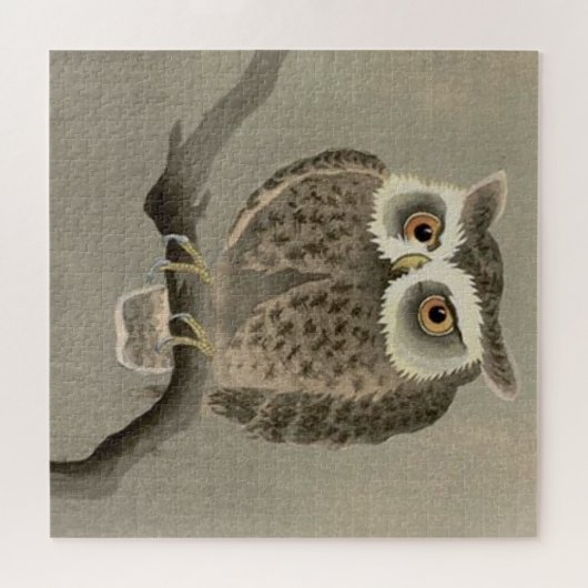 langharige uil legpuzzel (Horizontaal)