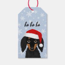 Langharige Zwarte en Lichtbruine Dachshond Hond Ke