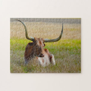 Langhoornrunderen Texas. Legpuzzel