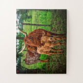Langhoornrunderen Texas Legpuzzel (Verticaal)