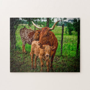 Langhoornrunderen Texas. Legpuzzel