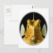 Langkorrelige kustvis briefkaart (Voorkant / Achterkant)