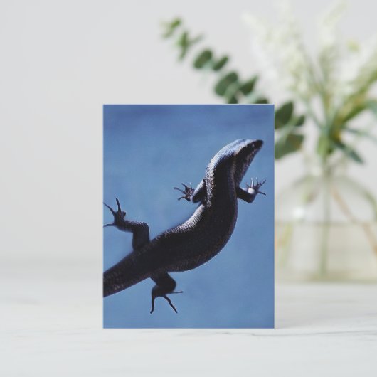 Langlevendigheid Briefkaart (Staand voorkant)