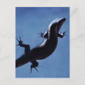 Langlevendigheid Briefkaart (Voorkant)