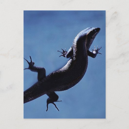 Langlevendigheid Briefkaart (Voorkant)