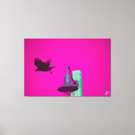 Langley Crow op lichtpaal serie #12 Canvas Afdruk