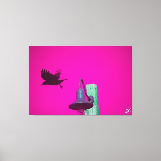 Langley Crow op lichtpaal serie #12 Canvas Afdruk (Voorkant)