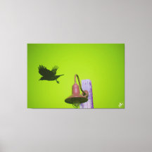 Langley Crow op lichtpaal serie #5