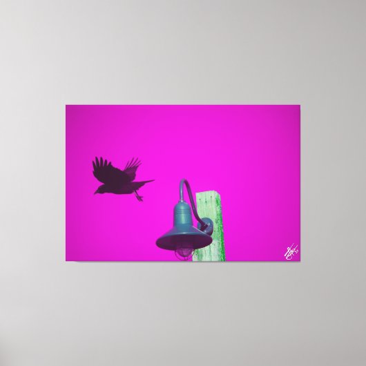 Langley Crow op lichtpaal serie #8 Canvas Afdruk (Voorkant)