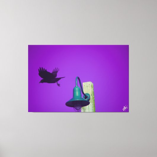 Langley Crow op Light Post Series #1 Canvas Afdruk (Voorkant)