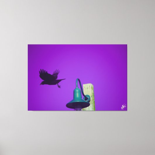 Langley Crow op Light Post Series #1 Canvas Afdruk (Voorkant)