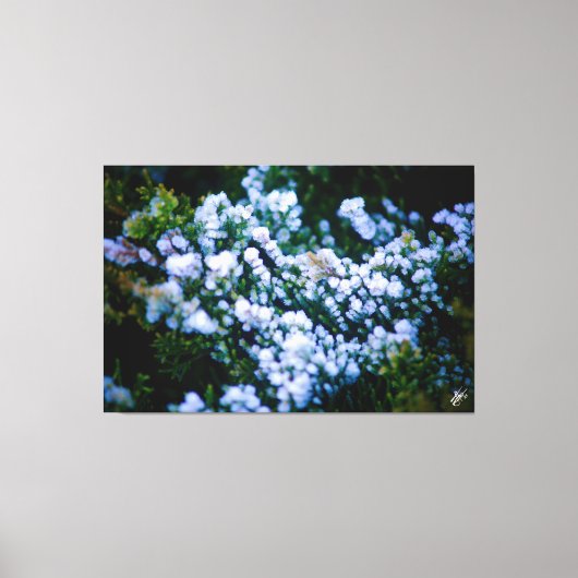 Langley Waterfront #11 Canvas Afdruk (Voorkant)