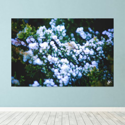 Langley Waterfront #11 Canvas Afdruk (Insitu (Houten vloer))