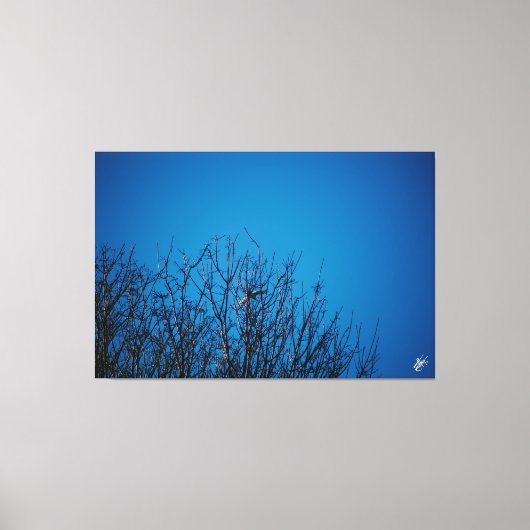 Langley waterkant #8 canvas afdruk (Voorkant)