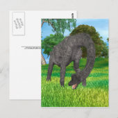 Langnek Dinosaurus Jungle Avontuur Briefkaart (Voorkant / Achterkant)