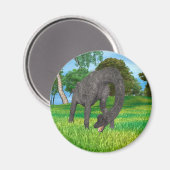 Langnek Dinosaurus Jungle Avontuur Magneet (Voorkant / Achterkant)