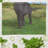 Langnek Dinosaurus Jungle Avontuur Theedoek (Gevouwen)