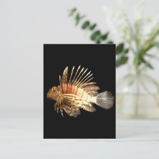 langoest briefkaart (Staand voorkant)