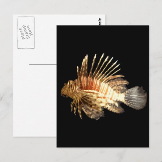 langoest briefkaart (Voorkant / Achterkant)