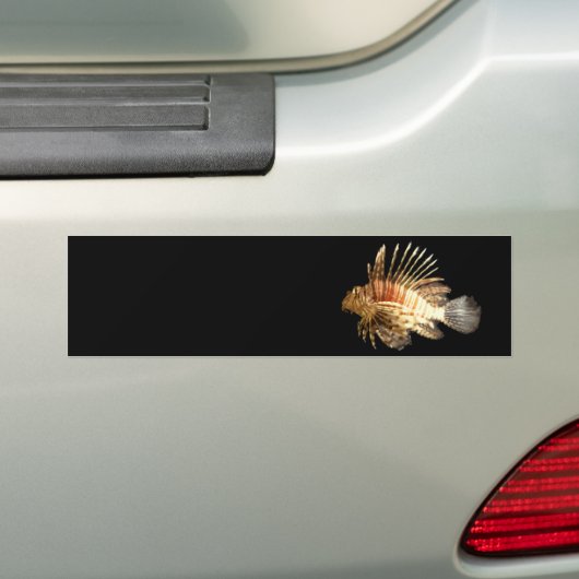 langoest bumpersticker (Op auto)